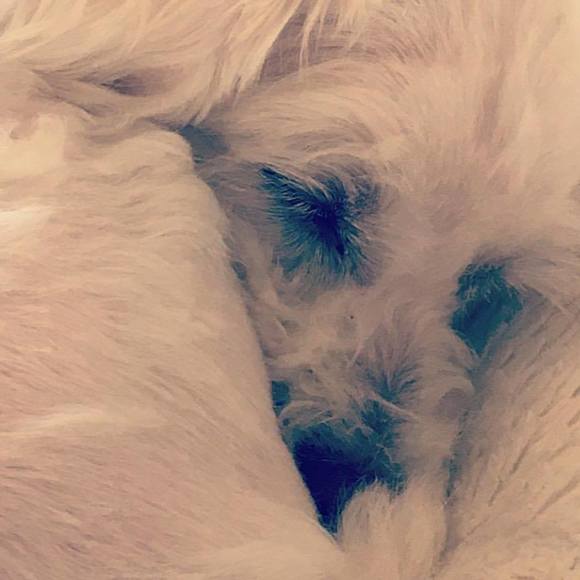 Meet your Posher, Amanda - Picture 1 of 1